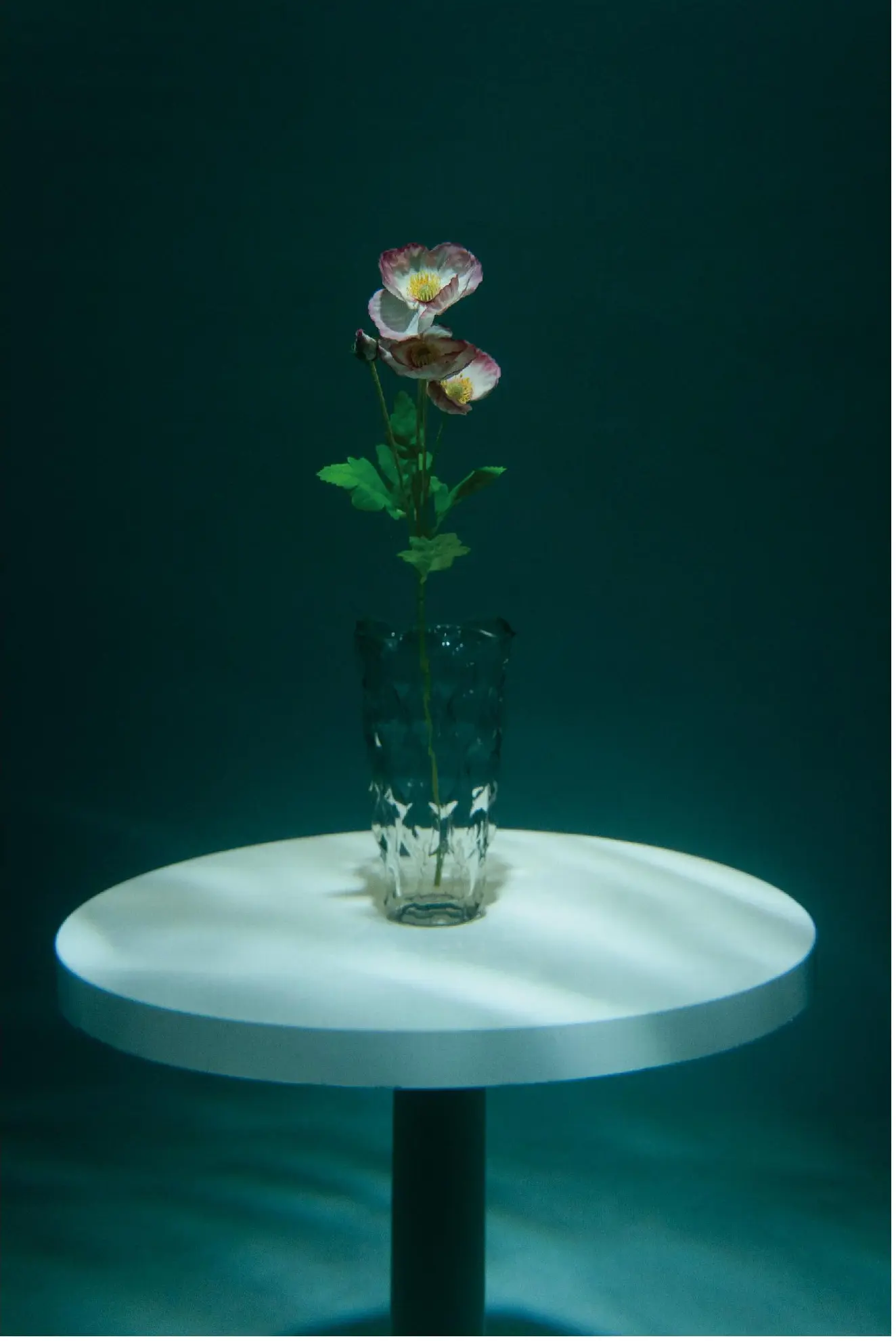 A flower growing from a glass vessel on a circular table underwater