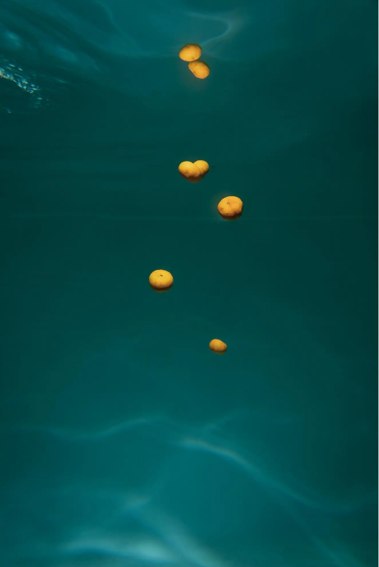 Small orange forms drifting downward through dark water